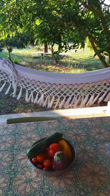 Country House Tra Lago E Mare A Sud Di Roma Villa Campoleone ภายนอก รูปภาพ