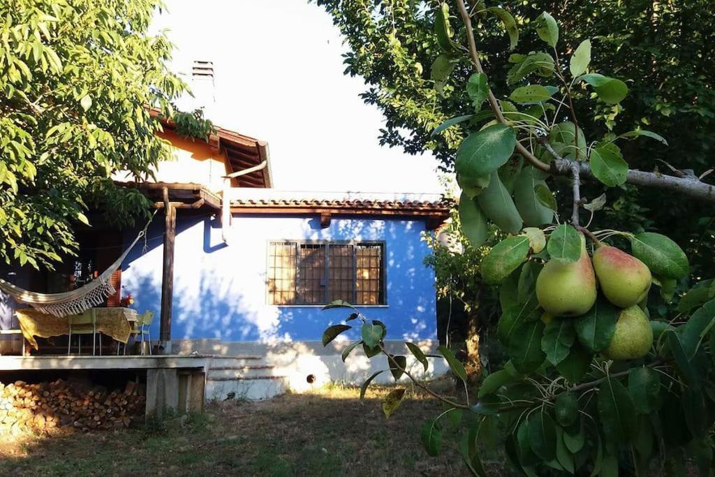 Country House Tra Lago E Mare A Sud Di Roma Villa Campoleone ภายนอก รูปภาพ