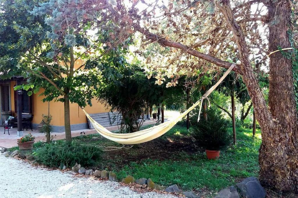 Country House Tra Lago E Mare A Sud Di Roma Villa Campoleone ภายนอก รูปภาพ